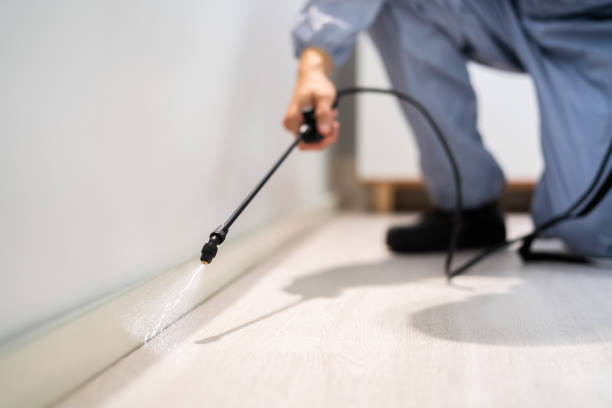 Bed Bug Pre-Treatment Preparation Assessment in Jonestown