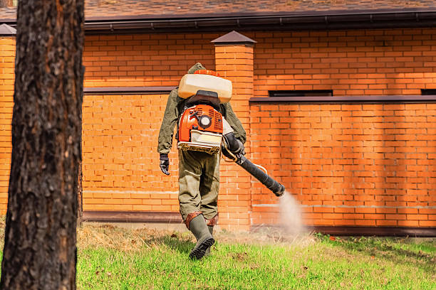 Bed Bug Clearance Verification and Documentation in Jonestown